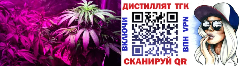 ТГК жижа  Купить где  Касли 